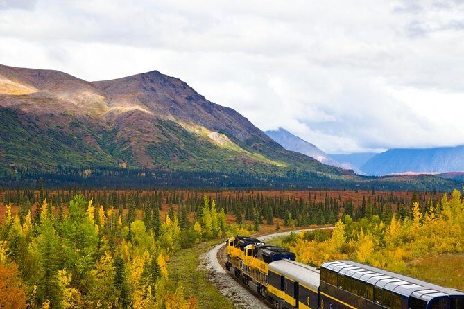 Alaska Railroad Anchorage to Denali One Way - Key points