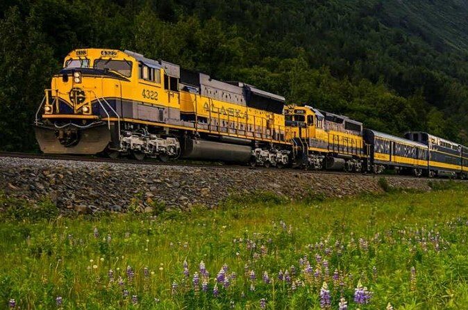 Alaska Railroad Anchorage to Seward One Way - Onboard Food and Snacks: Dining Available for Purchase