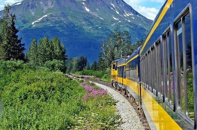 Alaska Railroad Anchorage to Seward Round-Trip Same Day Return - Food and Upgrades: Great Options, But Not Included