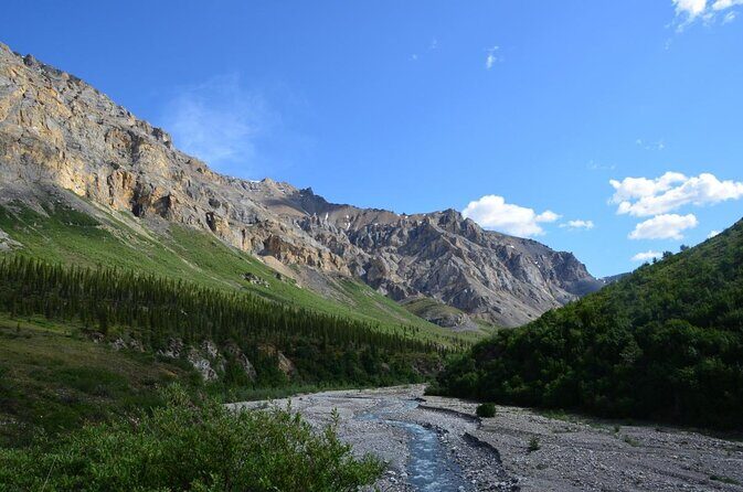 Anchorage: Kenai Fjords & Denali National Park 5 Day 4 Night Tour - Key moments that matter