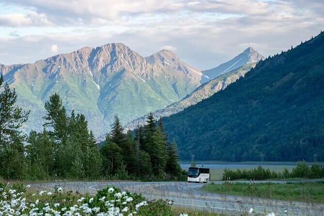 Anchorage to Whittier Wildlife Adventure - Key things I’d plan around