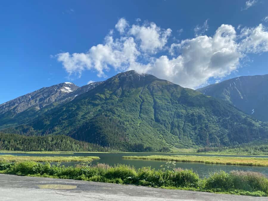 Anchorage: Wildlife Conservation Center & Portage Valley - Practical tips so you see more and feel comfortable