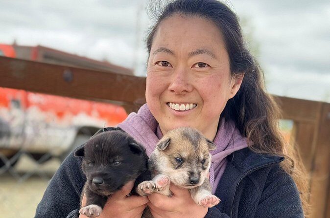 Anchorage's Authentic Dog Sledding Experience - Price and value: $105 for one hour of real dog sled culture
