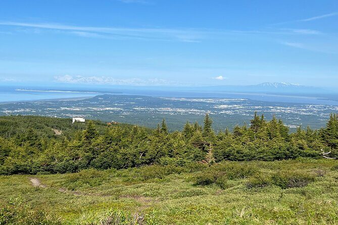 Chugach State Park Nature Walk - Wildlife chances: moose, bears, snowshoe hares, and the art of not forcing it