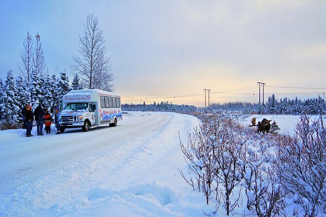 Exploring Anchorage on Winter Sundays - SnowElla, the Alaska Mural, and That Quick Photo-Stop Energy