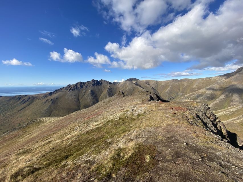 From Anchorage: Chugach State Park Guided Alpine Trek - Ridgeline views that make Cook Inlet and the mountains feel close