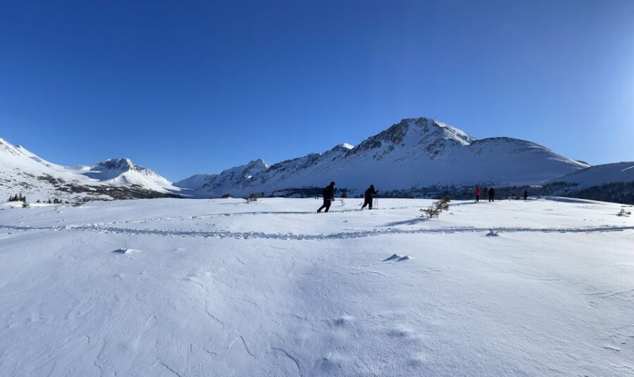 From Anchorage: Glen Alps Beginner's Snowshoeing Adventure - Into the Glen Alps: hemlock forest, alpine meadows, and creek-valley photos