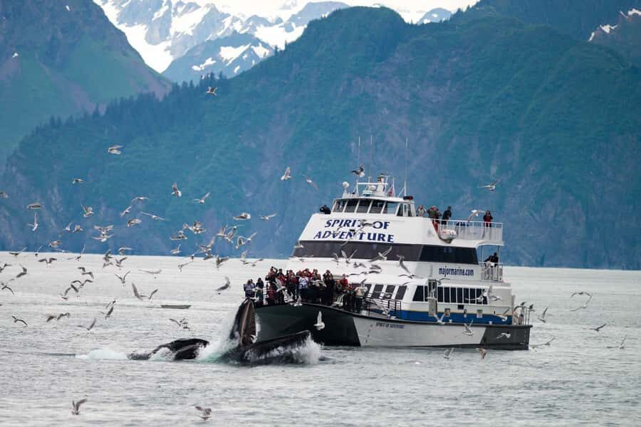 From Seward: Kenai Fjords National Park Cruise with Lunch - Resurrection Bay To Bear Glacier: The Route That Sets Up Big Moments