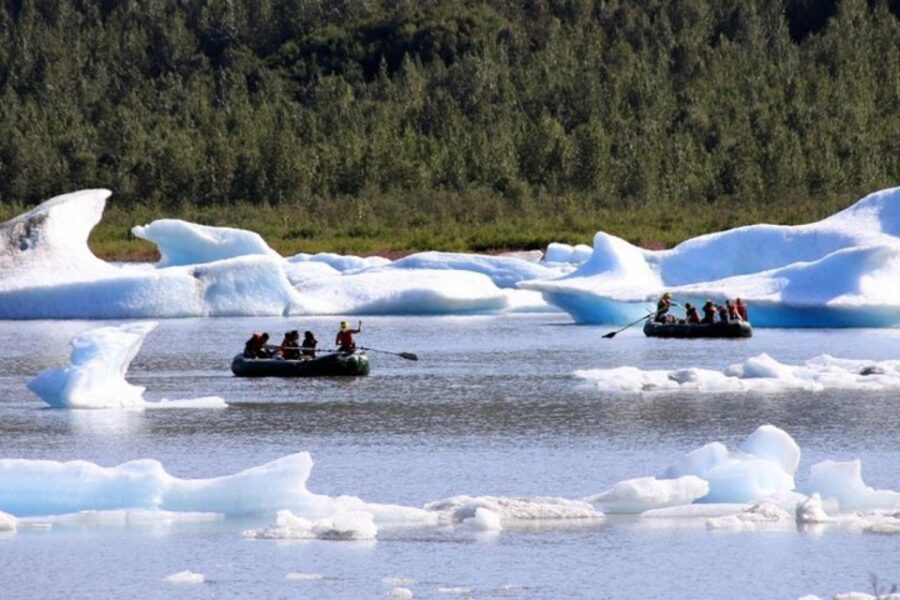 Girdwood: Bears, Trains, & Icebergs Tour - Key things to know before you go