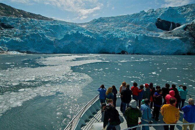 Glacier Quest Cruise and Coach Package - Who This Excursion Fits Best