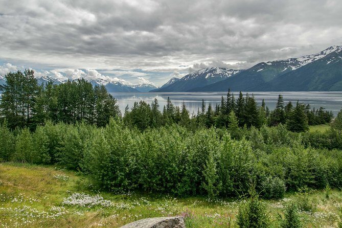 Glaciers and Wildlife: Super Scenic Day Tour from Anchorage - Small-group travel from Anchorage: comfort and control