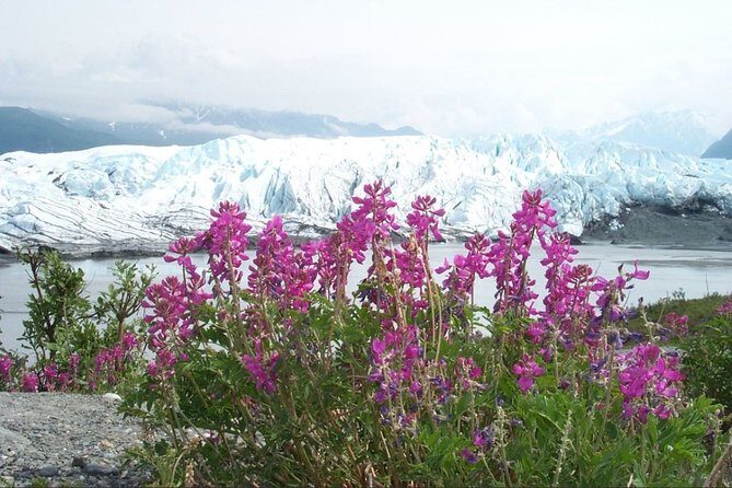 Matanuska Glacier Winter Tour - Price check: is $376.05 good value for this winter glacier day?