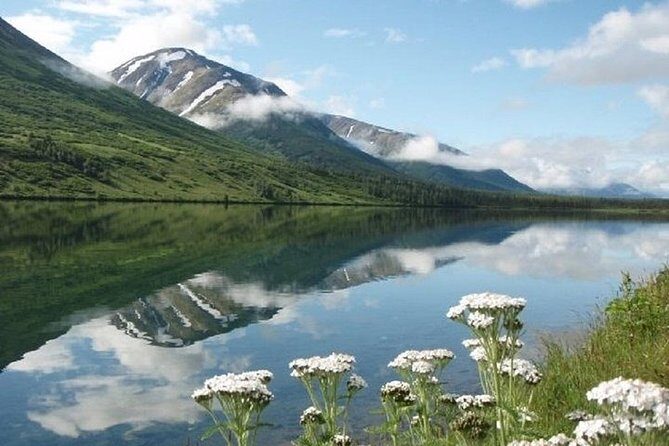 Private Tour: Anchorage 3-Hour Tour - Price and Value: What $648.55 Per Group Buys You