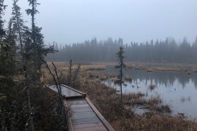 Summer Valley and Forest Hike - The trail realities: distance, hills, and how to prepare