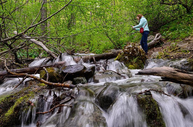 Turnagain Arm Highlights Photo Tour - Tripods for Phones and DSLRs: Small Gear, Big Difference