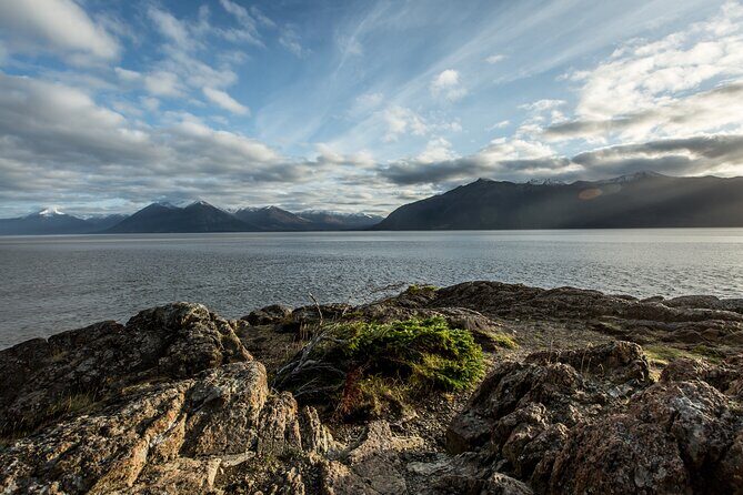 Turnagain Arm Sightseeing Experience and Wildlife Tour - Seward Highway to Turnagain Arm: the route that does the heavy lifting
