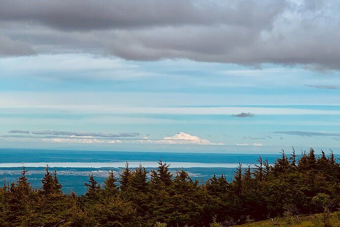 Valley of Glaciers Experience with Portage Glacier Cruise and Wildlife Tour - Alaska Wildlife Conservation Center: seeing land mammals up close