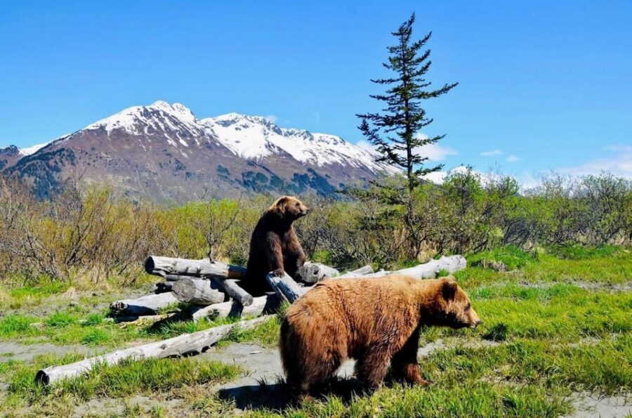 Wildlife Center with Lunch & Local Beer Sampling - Should You Book This Wildlife + Beer Day?