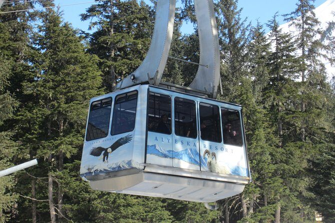 Winter - Alaska Wildlife Center with Alyeska Tram - Key things to know before you go