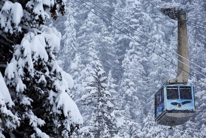 Winter - Alaska Wildlife Center with Alyeska Tram - Stop 1: Alaska Wildlife Conservation Center in Portage Valley